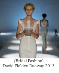 david fielden 2013 button