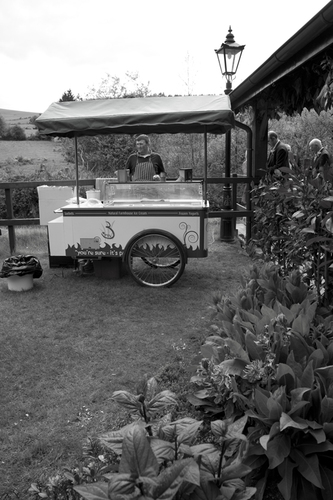 summer wedding ideas ice cream cart weddingsonline.ie penry photography ice cream cart wedding ireland