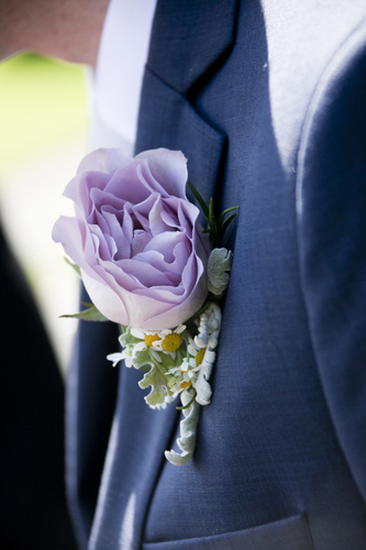 purple wedding boutonnaire rose flowers weddingsonline.ie penry photography purple wedding boutonnaire