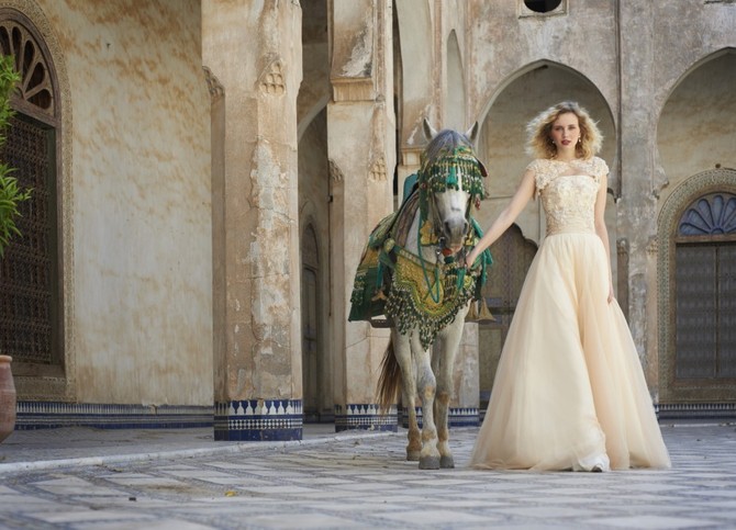 stephanie allin amber 2013