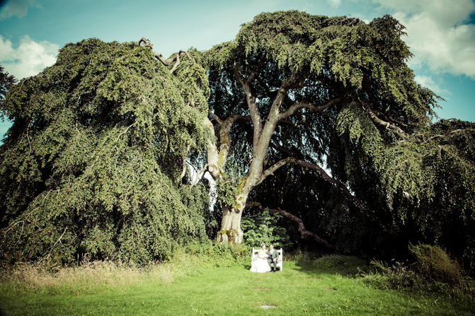 wedding garden photo laura faherty