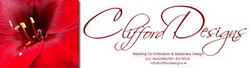 Clifford Designs