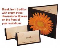 Wild Paper Designs
